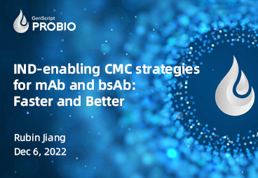 IND-enabling CMC Strategies for Bispecific Antibodies